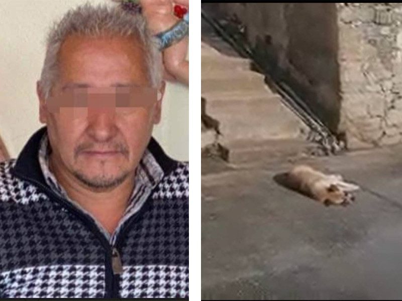 Sentencian a funcionario a renunciar por envenenar a 8 perritos en Hidalgo