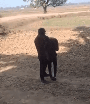 Hombre golpea a mujer por rechazar propuesta de matrimonio