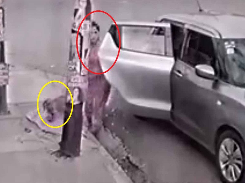 Mujer es captada abandonando a perrito en víspera de Navidad