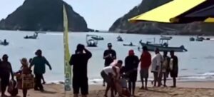 Tiburón ataca y mata a turista en playa de Melaque
