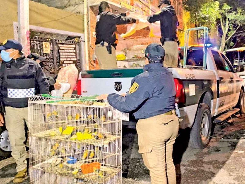 SSC desarticula una red de tráfico de animales