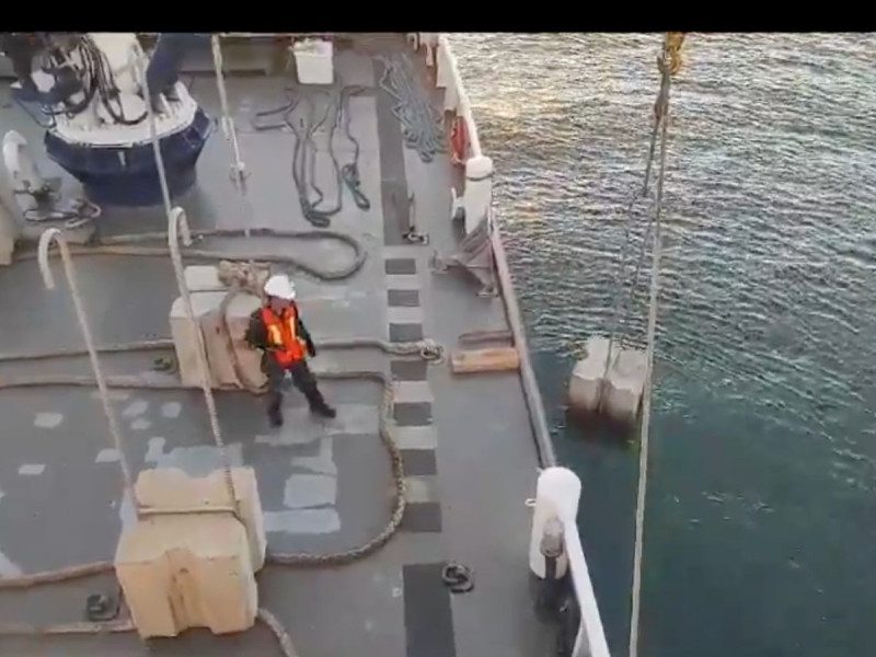 Más bloques de concreto en zona crítica de vaquita marina