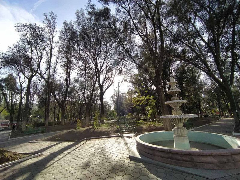 Heno motita seca 110 árboles en parque de Hidalgo