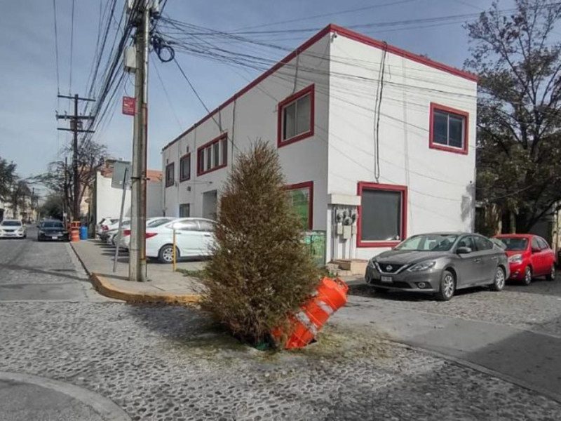 Árbol de Navidad ‘oculta’ registro abierto de la CFE