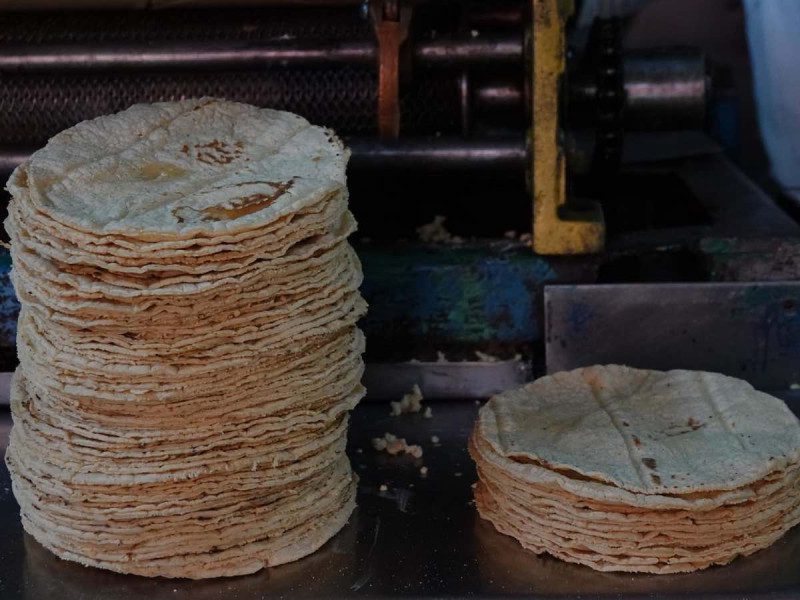 Precio del kilo de tortillas en CDMX y Edomex en 2024