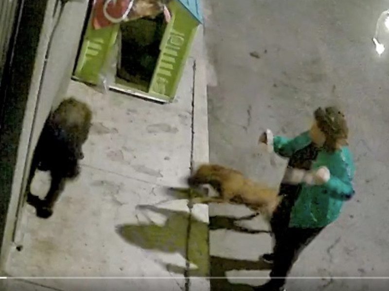 ¡Increíble acto de crueldad! Mujer incita a su perro a pelear con otros
