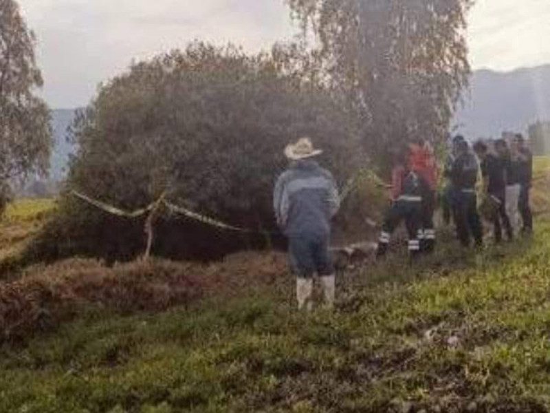 Hallazgo trágico: Bebé sin vida encontrado en campo de cultivo en Hidalgo