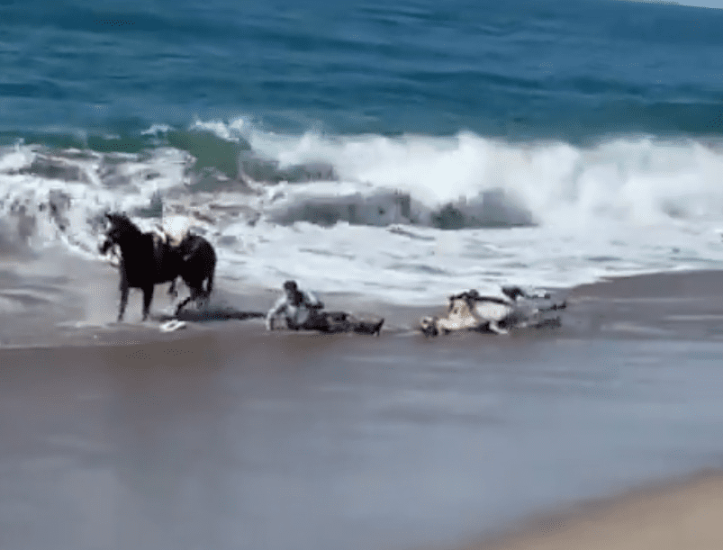 Jinetes arrastrados por olas en Mazatlán
