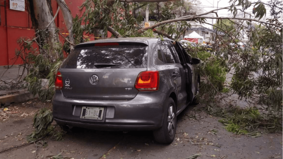 Alerta Amarilla por vientos fuertes en la CDMX