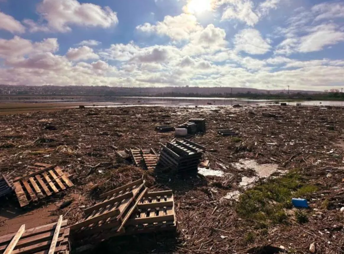 Tormentas en Tijuana arrastran basura y dañan campos de cultivo en EE. UU.