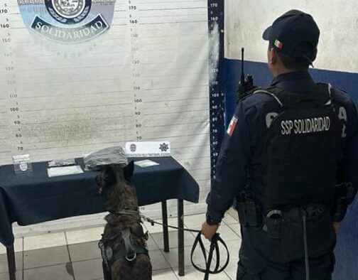 Aseguramiento de droga y recuperación de vehículo robado por la Policía de Solidaridad