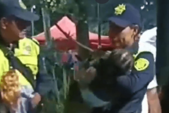 Policías rescatan a niña de 2 años perdida