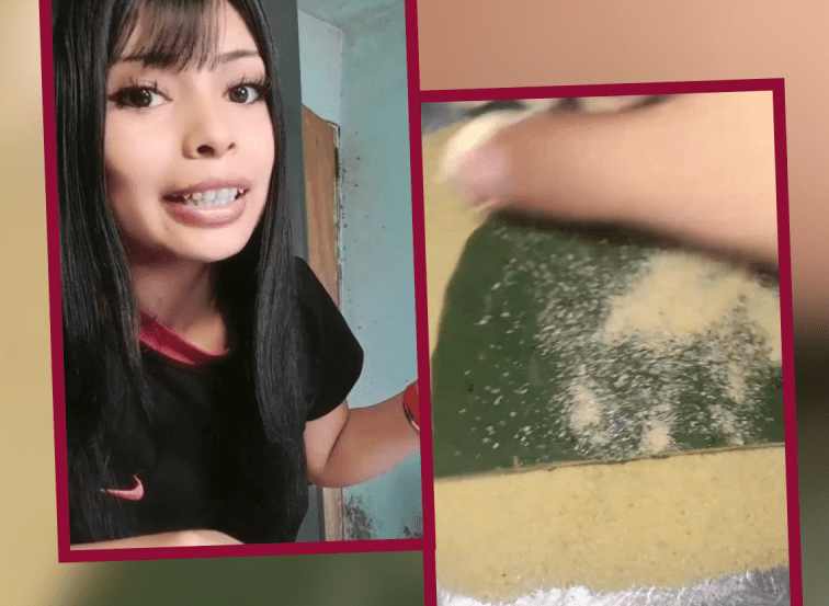 Argentina desata polémica por milanesas de nopal