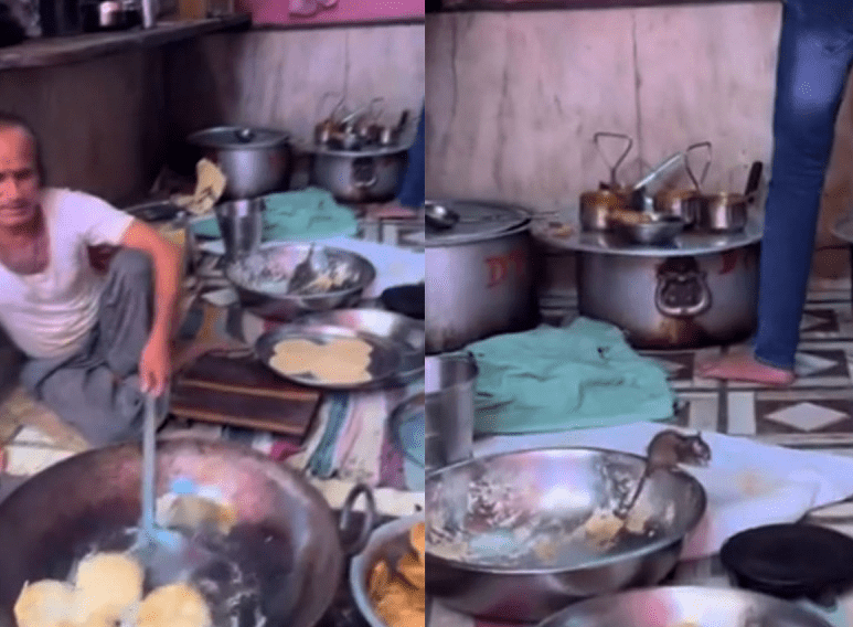 Ratas en cacerolas de comida, en puesto callejero