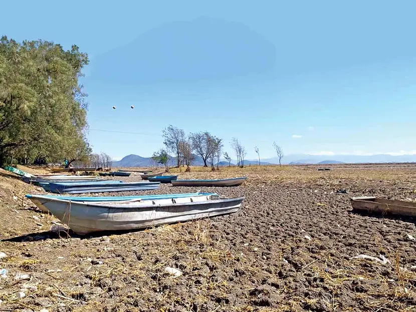 Desaparición del lago Cuitzeo por sequía