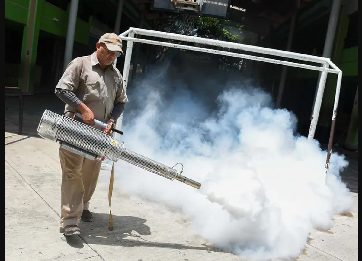 Acapulco encabeza con 1430 casos de Dengue