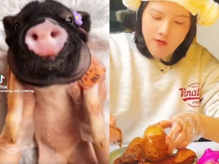 Mujer le da masajes a cerditos para luego comérselos