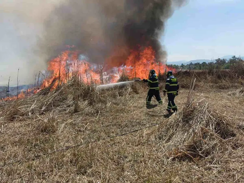 Incendio en dos hectáreas de pastizal en Ciénaga Grande; dos personas heridas