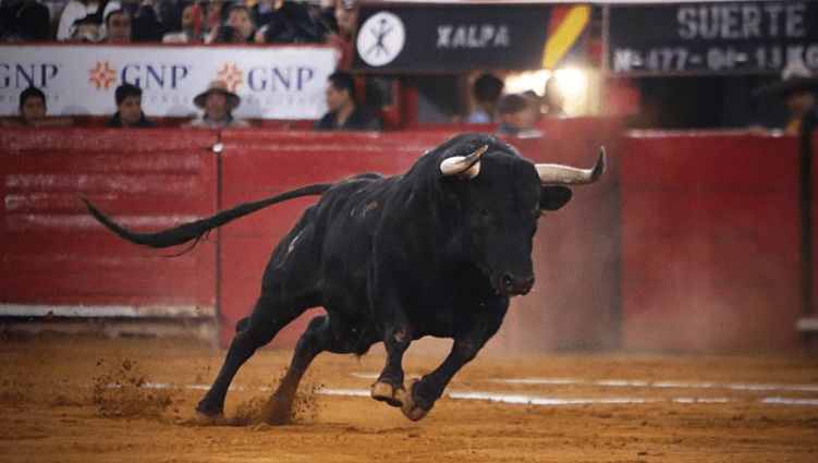 Niegan suspensión definitiva a corridas de toros en CDMX
