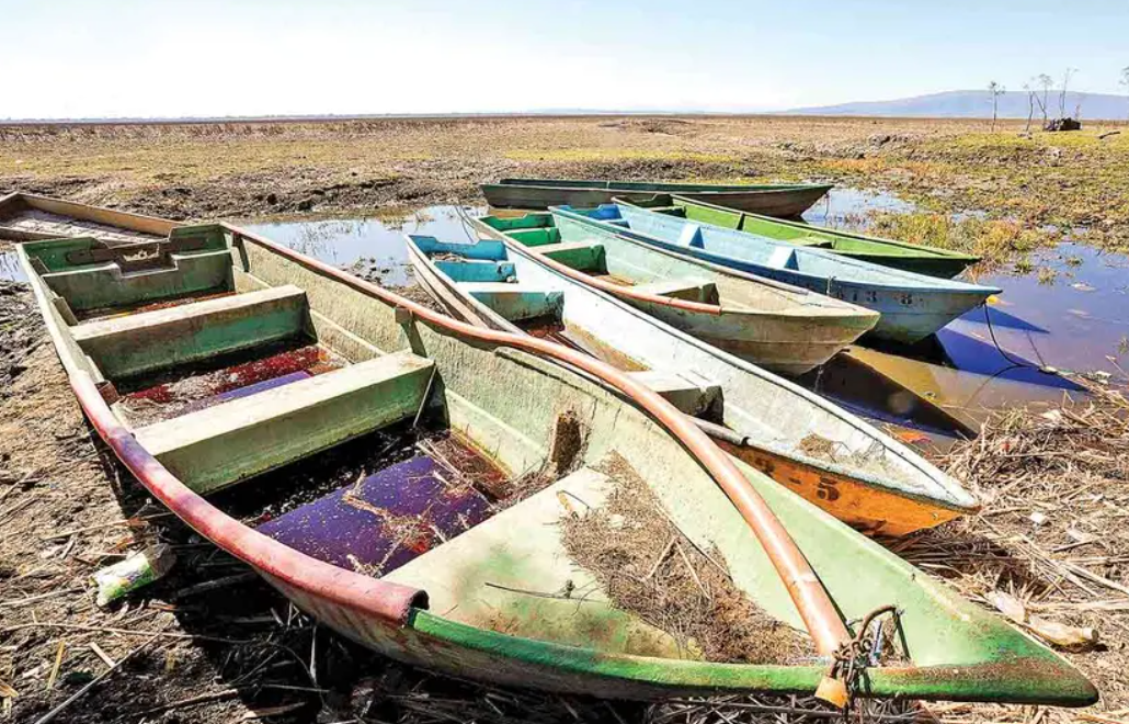 En Michoacán, la sequía arrasa con el 70% del lago de Cuitzeo
