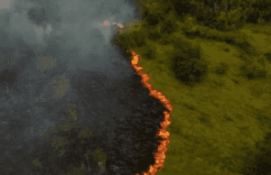Se registran más de 3 mil incendios en la Amazonia durante febrero
