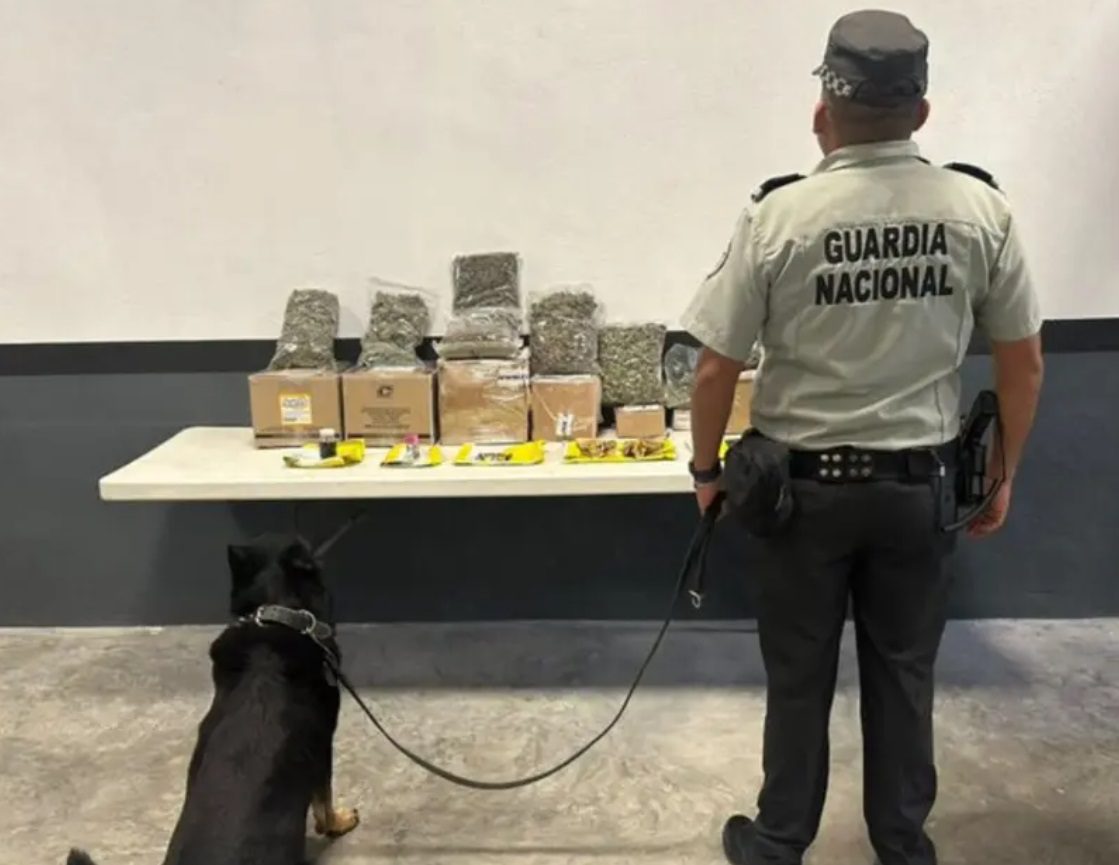 Guardia Nacional asegura huachicol y drogas en Nuevo León