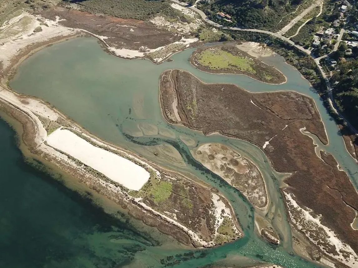 Día Mundial de los Humedales: un ecosistema invaluable