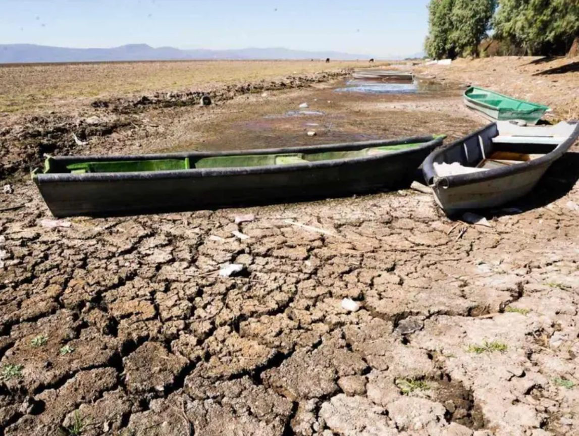 75% de México sufre sequía; 143 municipios la padecen gravemente