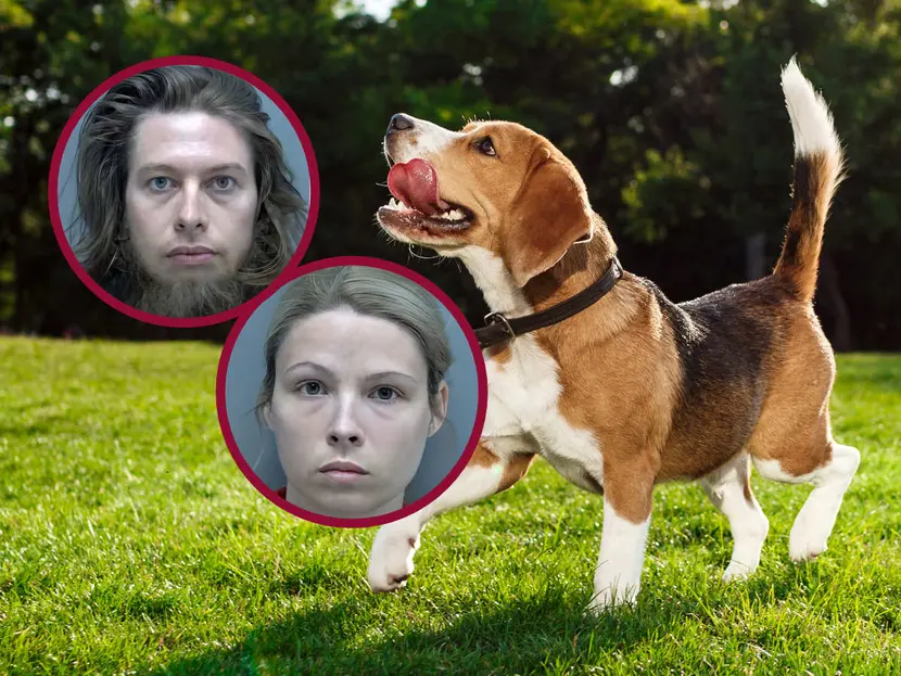 Detienen a mujer por tener sexo con su perro