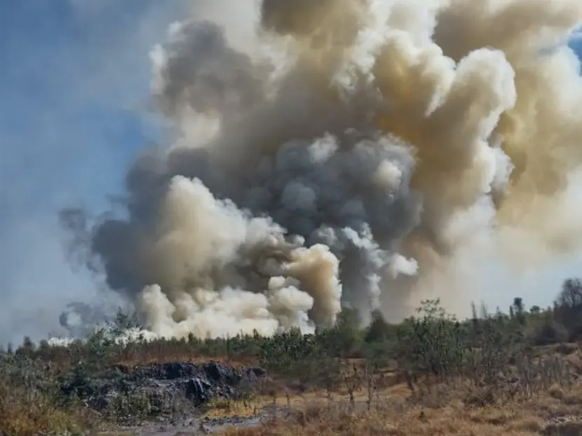 Incendio en Parque Ecológico de Cuemanco, Xochimilco