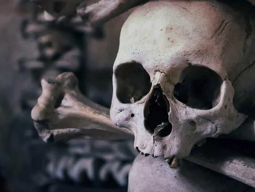 Mujer rusa durmió con el cadáver momificado de su marido por 4 años