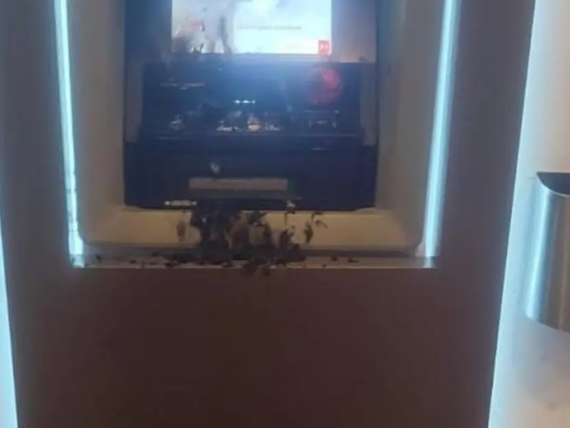 Delincuentes ahora intentan quemar un cajero en Hidalgo