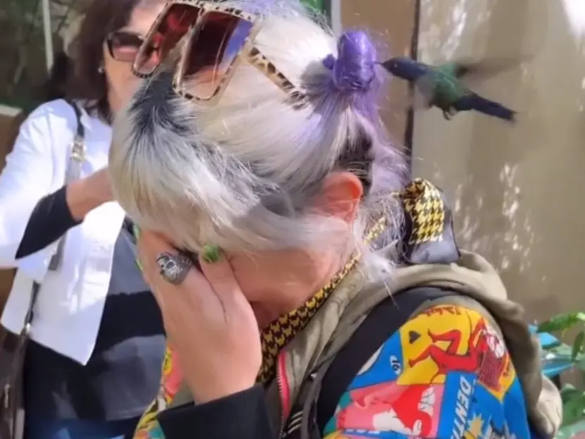 Vídeo: Colibrí confunde el cabello de mujer con una flor