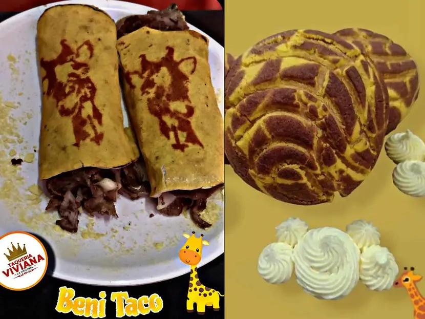 Lanzan el ‘Benitaco’ y la ‘Beniconcha’ en honor a la jirafa Benito