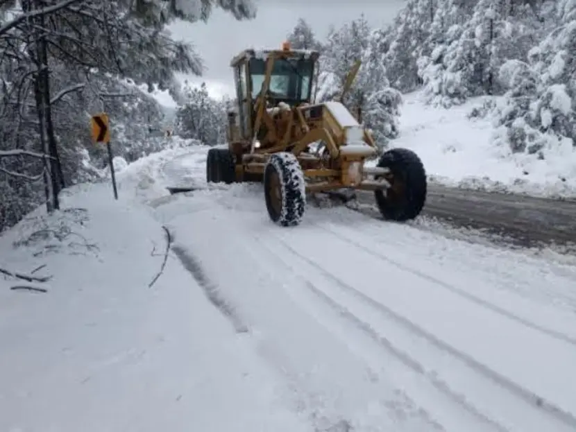 Nevadas provocan cierre de carreteras y suspensión de clases en Chihuahua