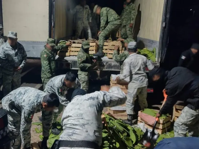 Aseguran 600 paquetes de narcóticos dentro de un camión de nopales