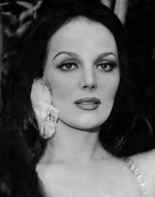 Fallece Sasha Montenegro