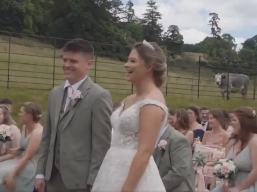 Vaca interrumpe boda