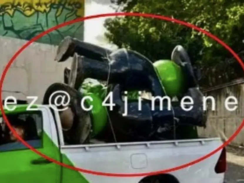 Ranas de Señor Frog’s robadas de Acapulco tras huracán Otis