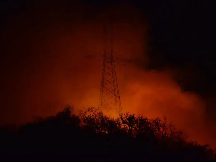 Investigarán si incendios forestales son provocados: AMLO
