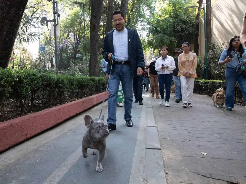 Realizan "Caminata Perruna" para promover la nueva Ley de Protección Animal