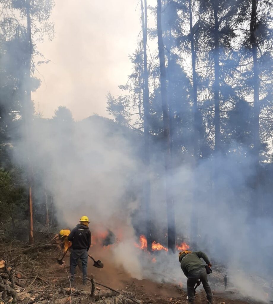 Reportan brigadas control del 100 por ciento en incendios forestales de Texcoco y del 70 por ciento en Amecameca