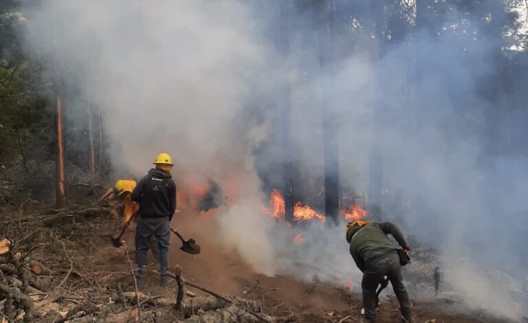 Reportan brigadas control del 100 por ciento en incendios forestales de Texcoco y del 70 por ciento en Amecameca