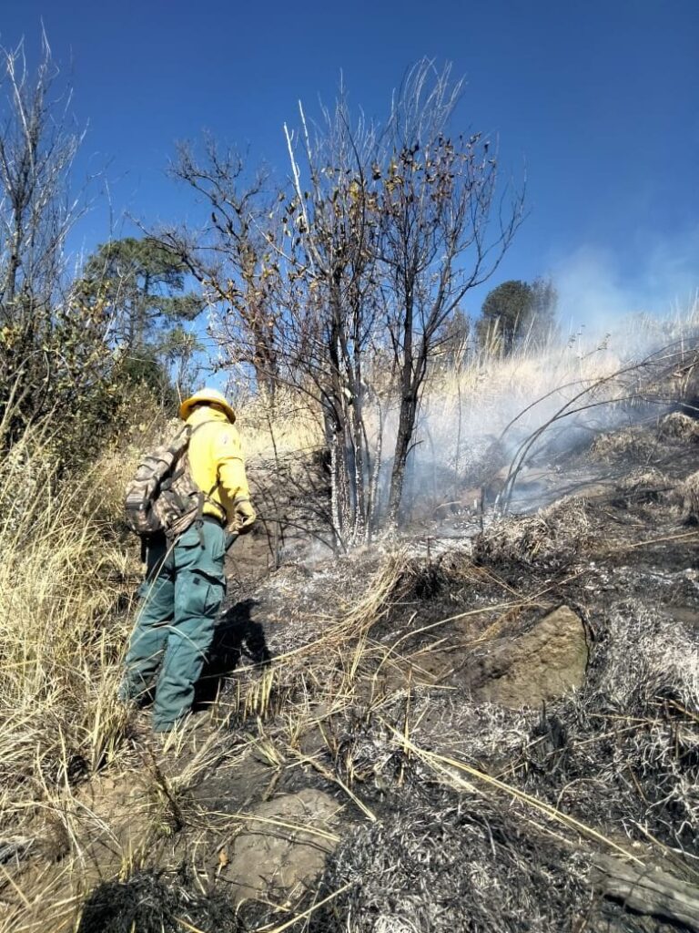 Reportan brigadas control del 100 por ciento en incendios forestales de Texcoco y del 70 por ciento en Amecameca