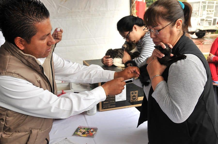 Inicia Jornada Nacional de Vacunación Antirrábica Canina y Felina 2024 en el Estado de México