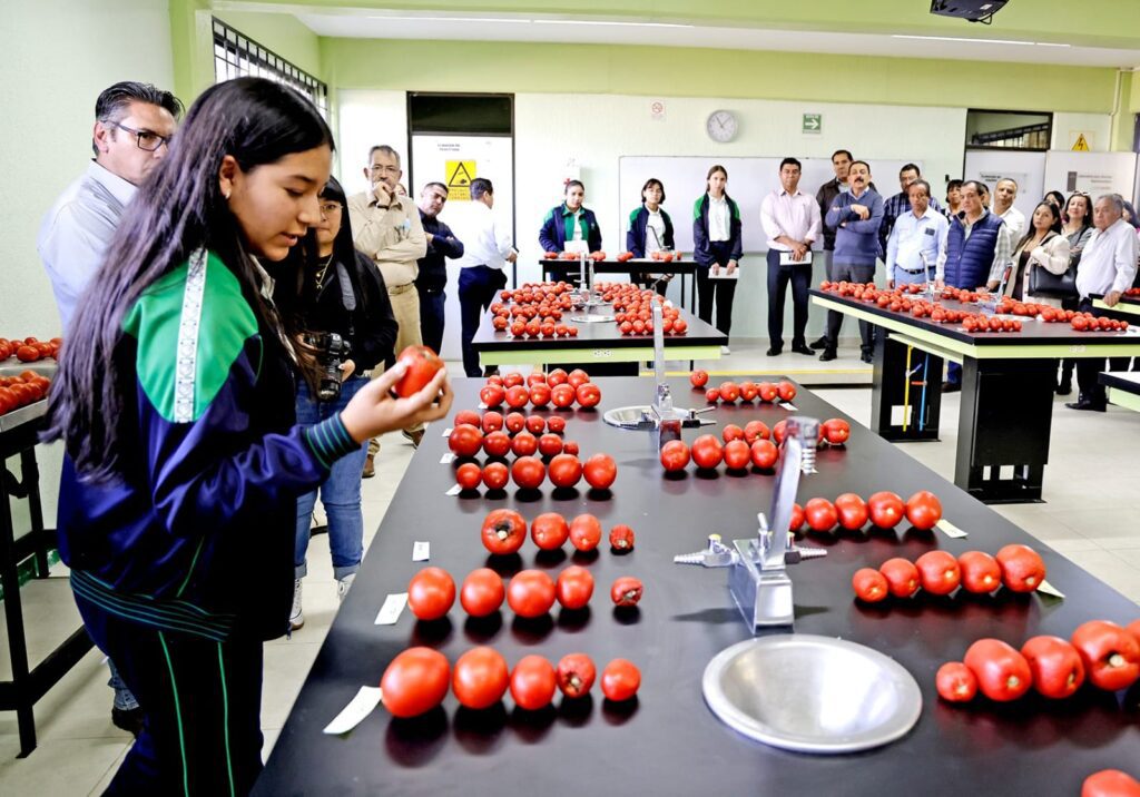 Alumnado del CECyTEM desarrolla cultivos hidropónicos de jitomate