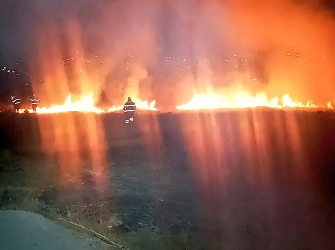 En Chalco, unas 30 hectáreas de bosques se han quemado