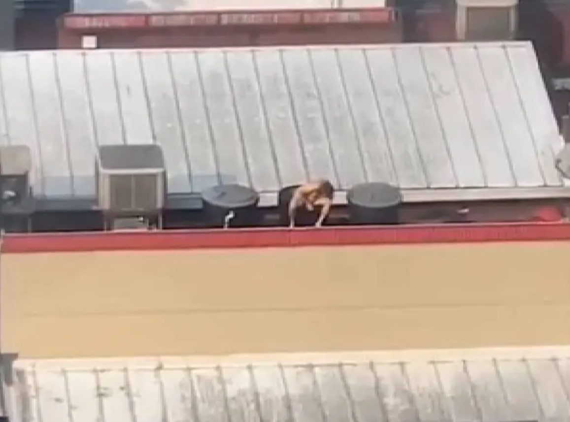 Hombre se baña desnudo en tanque de agua de Burger King en Colombia