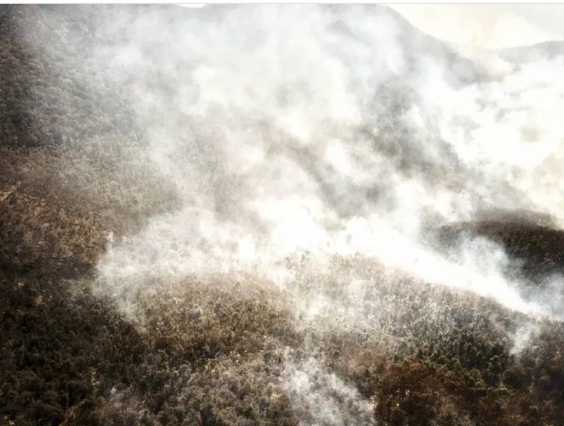Asado de carne desató incendio en Sierra de Santa Rosa, Guanajuato