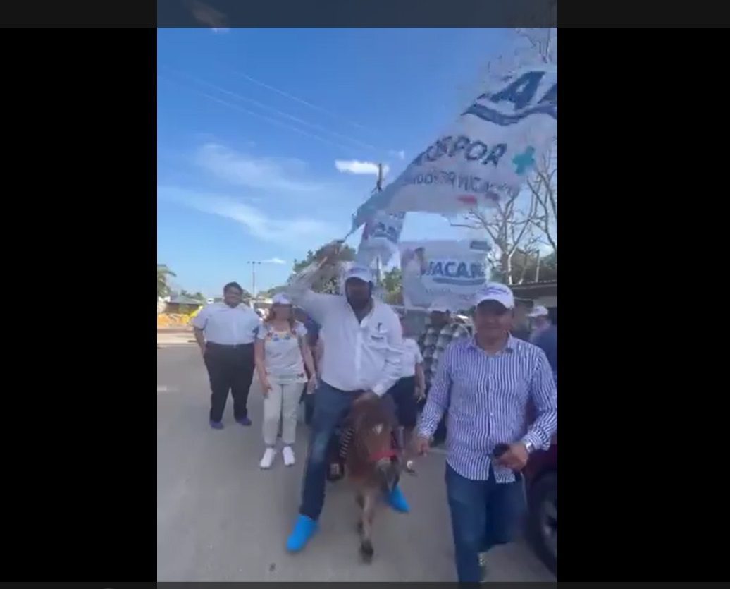 Acusan de maltrato animal a candidato del PAN en Yucatán por montar un poni